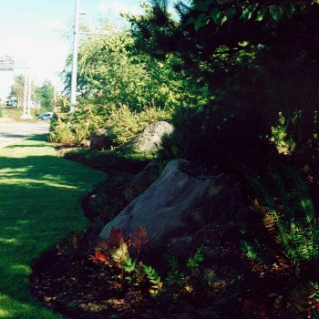 Body Chester Johnson 2.jpg