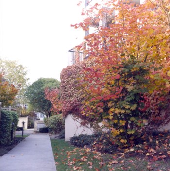 Body Fountainbleau Autumn